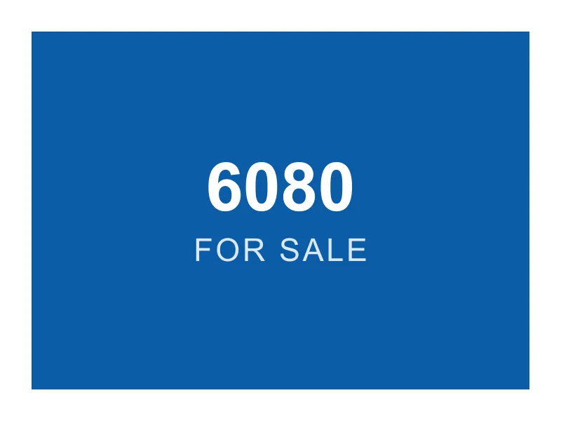 LEGO 6080 King's Castle parts lot — cover photo